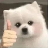 离我远点