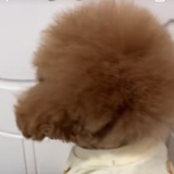 徐伟杰