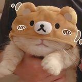 狡猾的蛋挞