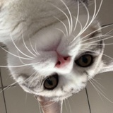 凭心