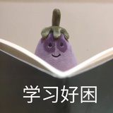 晚风.