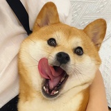 山海。