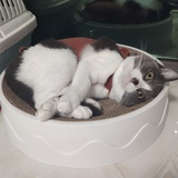 零度