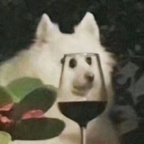 葫芦花的回忆