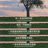 克莱采陆