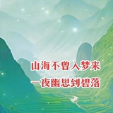 红粉诸葛