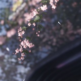 不容静止