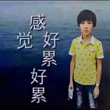 福气滚滚来