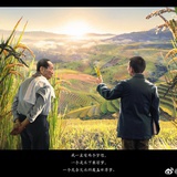 晴天娃娃