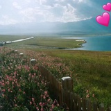 尕李