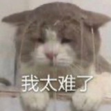 我女儿只做花