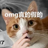 哈蛤虾铪蝦鉿妎