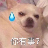 💙与鲤💜