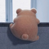 wy
