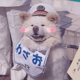 又干嘛→_→