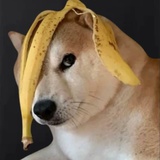 413