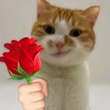 mememe