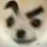 水母停电了