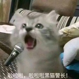 瞌瞌