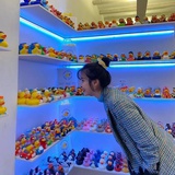 阿卡贝拉