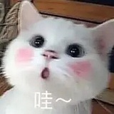 豆友223418667