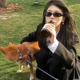 Struggleahead