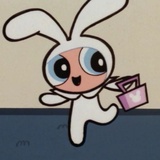 Usagi