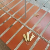 吹吹鹃