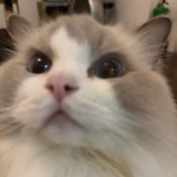 一会吃什么