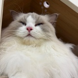 一会吃什么
