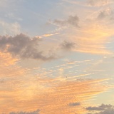 瞻诸然