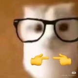 只喜欢你的人设