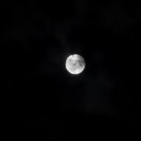 点点