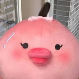 英语六级必过