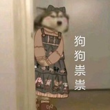 暴躁的蓝猫