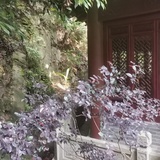 草莓冰淇淋