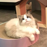 过小孤山