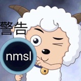 nmsl