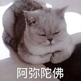 莫雨缺德