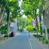 心是孤独的猎手