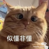 又开磕了