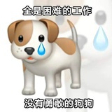 韩知城