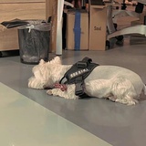笔不见了