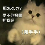 不然你报警吧