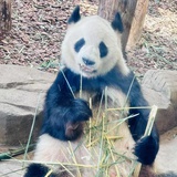 无情的吃瓜群众