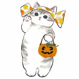 一只momo