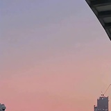 燕子飞过来