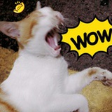 Joysun