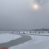烈火灯蛾