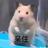 怎么还不放假